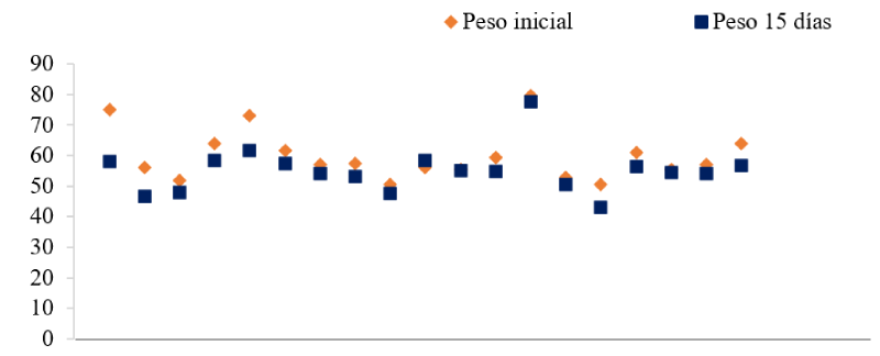 Peso estimado de los pacientes al inicio y a los 15 das de hospitalizacin.