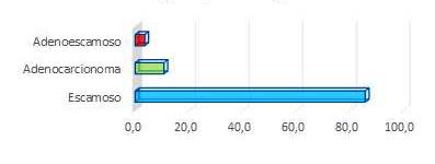Distribuci&oacute;n porcentual de las pacientes seg&uacute;n tipo histol&oacute;gico.