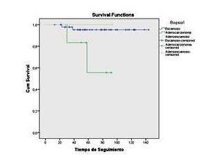 Curva de Kaplan-Meier entre el per&iacute;odo libre de reca&iacute;da y el tipo histol&oacute;gico.