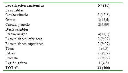 Distribuci&oacute;n de los pacientes de
acuerdo a la localizaci&oacute;n anat&oacute;mica