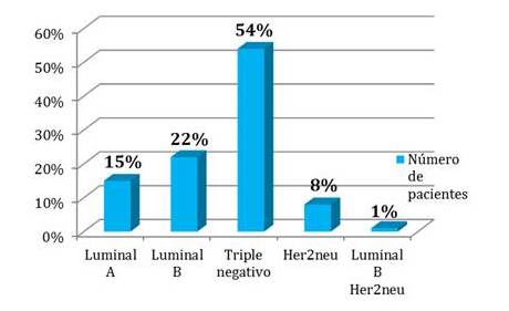 Resultado de la inmunohistoqu&iacute;mica
del tumor en las pacientes que recibieron radioterapia adyuvante por presentar
diagn&oacute;stico de c&aacute;ncer de mama