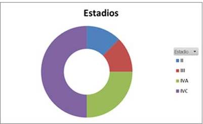 Distribución según el estadio