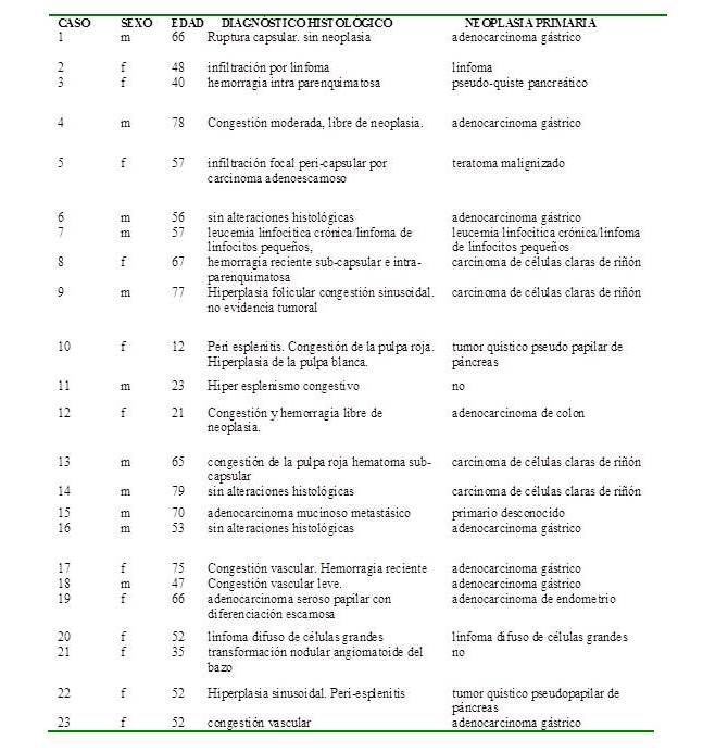 Biopsias de 23 casos