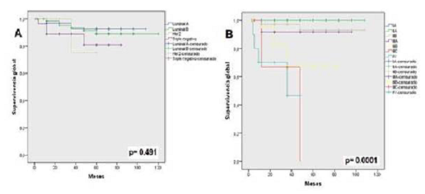 Supervivencia global en funci�n de A. fenotipos tumorales y B. estadio TNM.