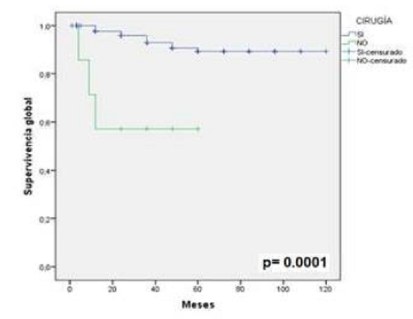 Supervivencia global entre pacientes operadas y no operadas.