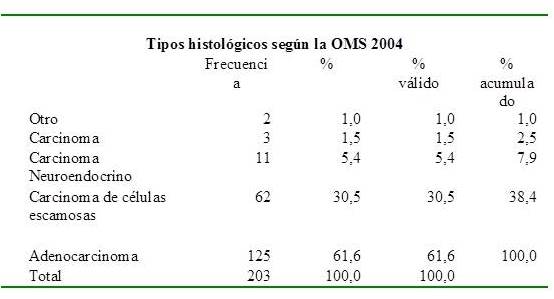 Tipos histol&oacute;gicos previo a reclasificaci&oacute;n seg&uacute;n la OMS 2004