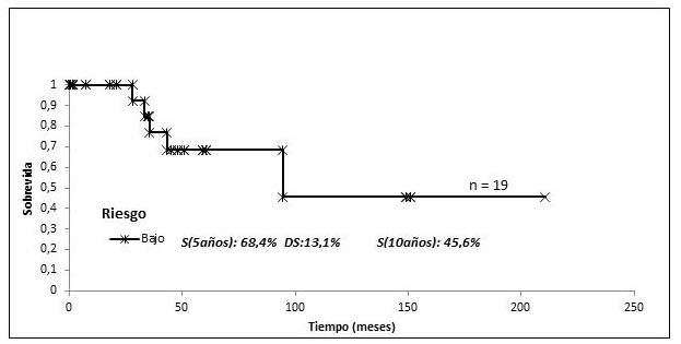 SG MF estadio tard&iacute;o clasificada por grupos de riesgo tratados con RT.