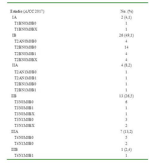 Clasificaci&oacute;n por estadios