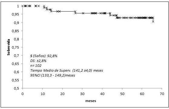 Supervivencia global c&aacute;ncer de endometrio tratados con RT