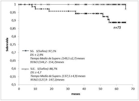 Supervivencia global y libre de enfermedad EST I y II. C&aacute;ncer de endometrio tratados con RT
