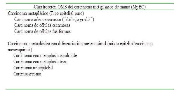Clasificacin del MpBC segn la OMS (1)