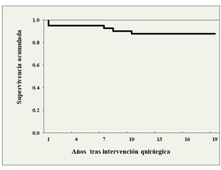 Supervivencia global