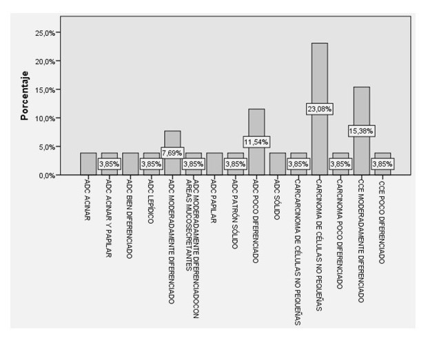 Tipos histol�gicos de carcinomas estudiados