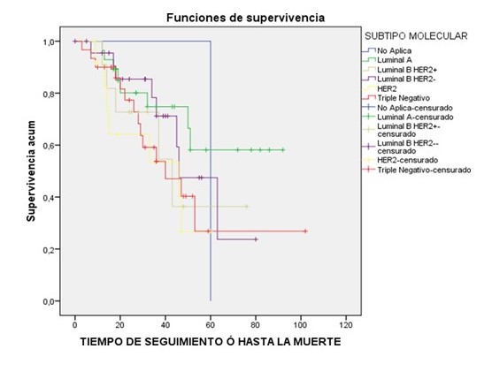  Supervivencia. Seg�n subtipo molecular