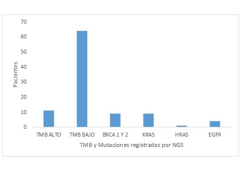 Hallazgos moleculares en los estudios de NGS de los pacientes con patología oncológica.
