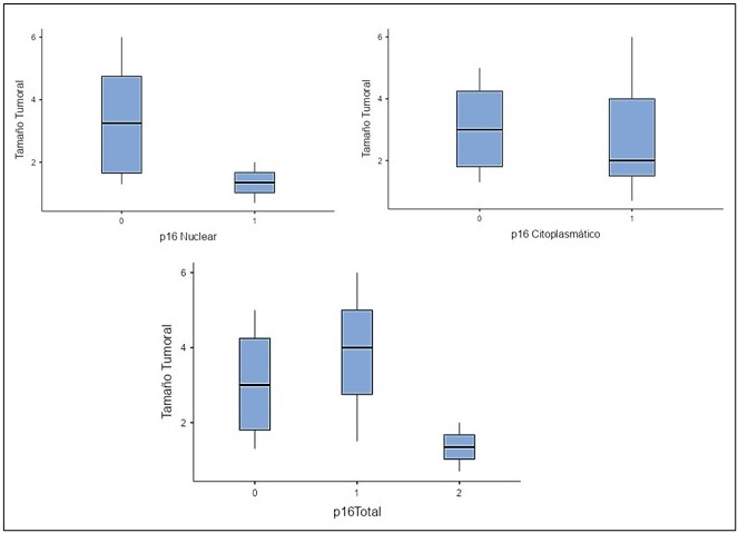 Diagrama de caja 1, 2 y 3. Tama�o tumoral y p16 nuclear y citoplasm�tico.