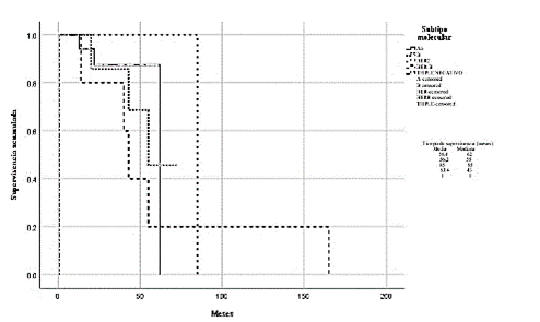 Supervivencia global segn el subtipo molecular