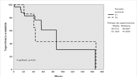 Supervivencia global segn el tamao tumoral