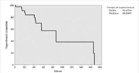 Supervivencia Global