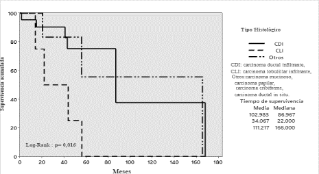 Supervivencia global segn el tipo histolgico.