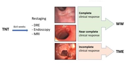 Imagen de valoraci�n de respuesta tomada de OPRA MSKCC (10)