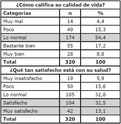 Calidad de vida de los trabajadores informales mayores de 18 a&ntilde;os. Manizales
