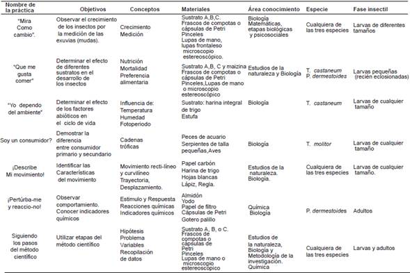 Actividades que se proponen para el trabajo practico con tres especies de insectos Tenebri&oacute;nidos.