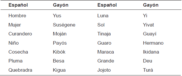  Identificación
de palabras de interés en la lengua Gayón.