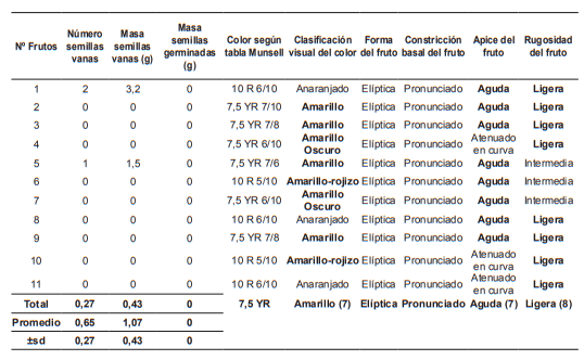 Continuación de los datos obtenidos para la caracterización física de los
frutos de clon OC-61 x PLA- 159