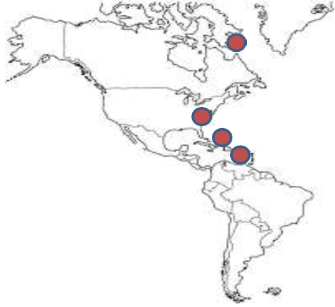 Destino Caracas, en el a�o 1948