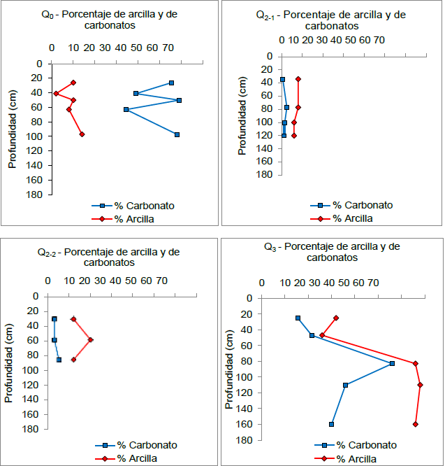 Distribuci�n de los porcentajes de carbonatos y arcillas con la profundidad de los perfiles de suelos estudiados.