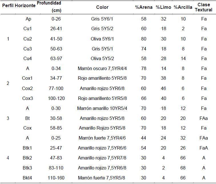 Propiedades f�sicas de los perfiles de suelos estudiados