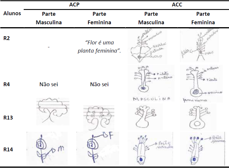 Respostas da 6a quest�o - Cite ou desenhe as partes femininas e/ou masculinas de uma planta - na ACP e ACC