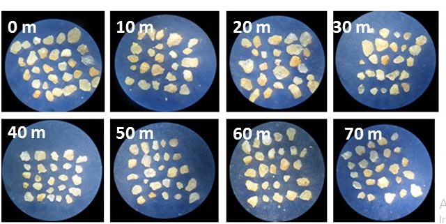 Micrograf�as de los granos de cuarzos correspondientes a la zona de vaiv�n de la playa Mangle Quemao.