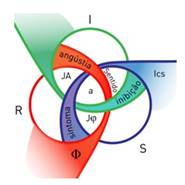 Projeção dos avanços dos campos de gozo sobre os registros R.S.I e a intrusão do trio freudiano: inibição, sintoma e angústia (SCHEJTMAN, 2013, adaptação nossa).
