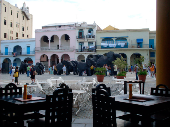 Social Integration in Plaza Vieja, Havana Historic Centre. (Photo of the author, 2009).