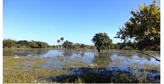 Ideas b&aacute;sicas de dise&ntilde;o. El humedal m&aacute;s importante del Caribe. Fuente: los autores 