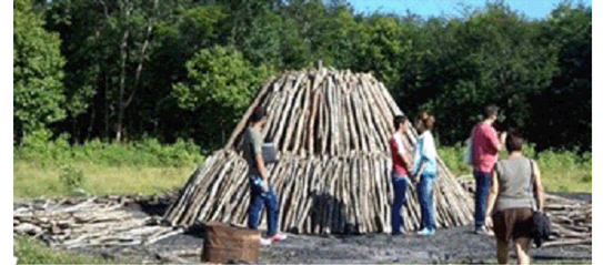 Ideas b&aacute;sicas de dise&ntilde;o. La imagen de los hornos de carb&oacute;n. Fuente: los autores.