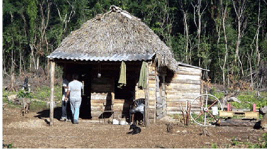 Ideas b&aacute;sicas de dise&ntilde;o. La forma de vida del cenaguero. Fuente: los autores 