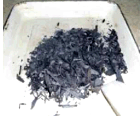 Cuesco de Palma Africana.