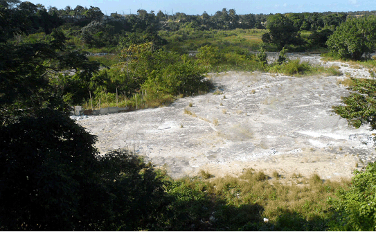 Imagen de la masa semil&iacute;quida residual del vertedero invasivo del &aacute;rea vegetal colindante con la planta productora de gas acetileno de R&iacute;o Verde.