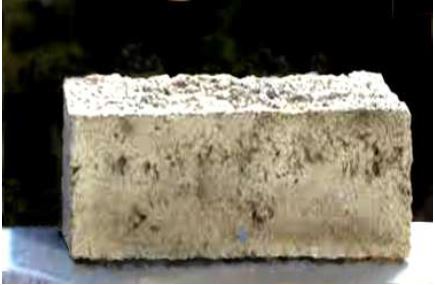 Bloque elaborado con lodo de papel