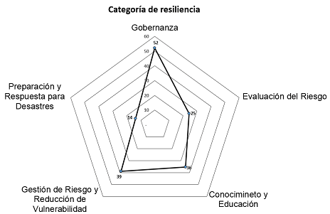 Categoría de resiliencia.