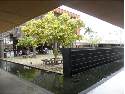 SECCIÓN: DEL REINO DE ESTE MUNDO