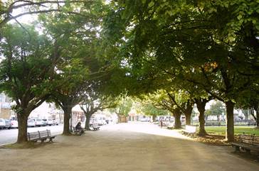 Calle latitudinal por calle Mackenna. La espacialidad, sumada a la calidad de la vegetación, hace de esta calle un espacio de encuentro resguardado.