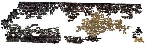 Determinación a través de ortoimagen del área ocupada por pátinas negras y naranjas. 