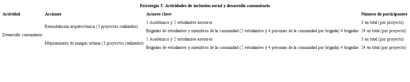 Estrategia. Actividades de inclusión social y desarrollo comunitario. Síntesis de acciones y participantes.