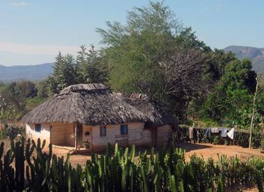 Vivienda rural tradicional (boh&iacute;o) construida por los propios habitantes, ubicada en el macizo de Nipe-Sagua-Baracoa. 