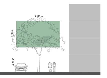 Imagen del árbol típico para la calle 44, Barranquilla.
