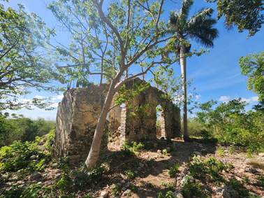 Vista desde el Noroeste de la Estructura 1, donde se observa el agua del techo que baja hacia el Norte.